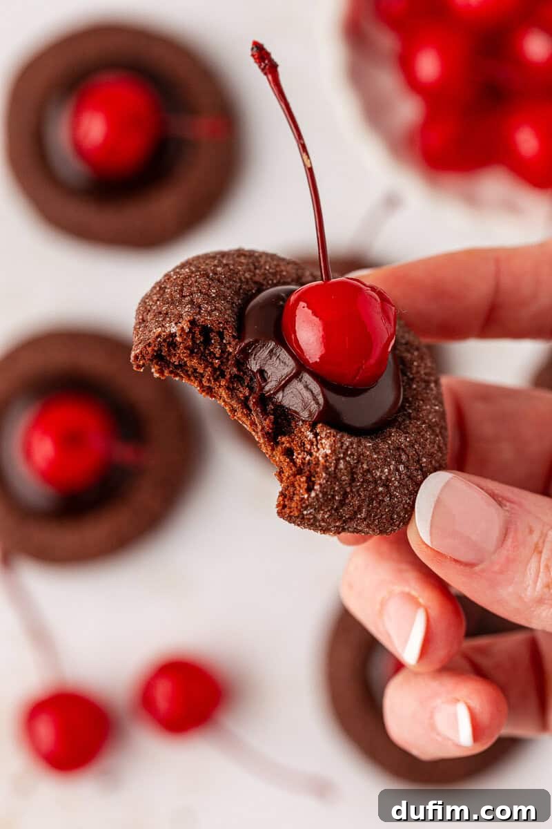 A hand with manicured nails holds a bitten chocolate cookie topped with glossy chocolate ganache and a bright red maraschino cherry. More similar cookies and loose cherries are blurred in the background.