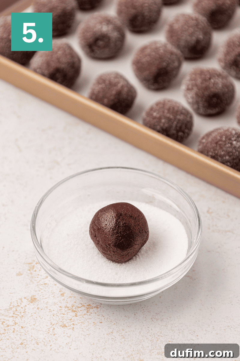 A glass bowl holds a perfectly formed chocolate cookie dough ball, nestled in granulated sugar, ready for coating. In the background, a baking tray is visible with several already sugar-coated dough balls. A green square with the number 5 guides the user through the process.
