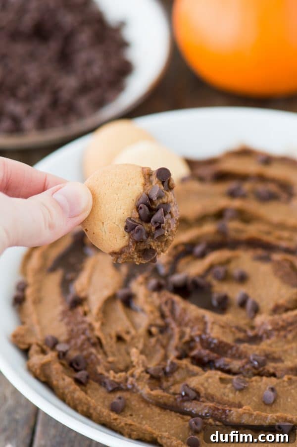 A healthier dessert hummus for the fall! Pumpkin chocolate chip hummus!