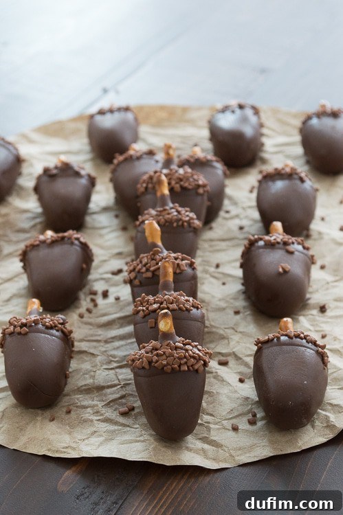Sixteen Peanut butter oreo ball desserts on parchment paper, awaiting their final decorative touches.