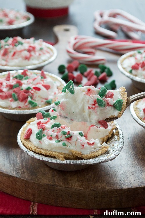 A top-down view of several no-bake mini white chocolate mousse pies, beautifully garnished for the holidays.
