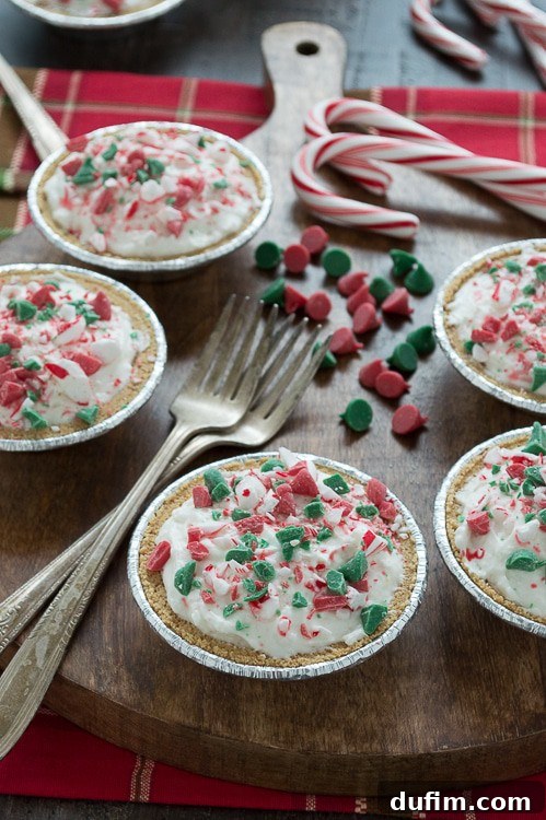 Side view of a single no-bake mini white chocolate mousse pie, showing the creamy texture and festive toppings.