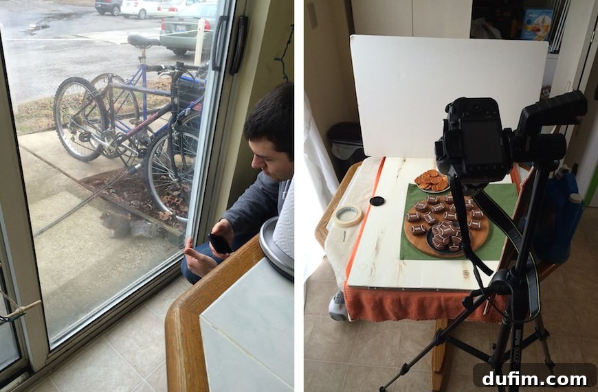 2014's Best Bites & December's Behind-the-Scenes 8 Ryan feeding peanuts to a squirrel and sneak peek of a chocolate peanut butter Super Bowl recipe