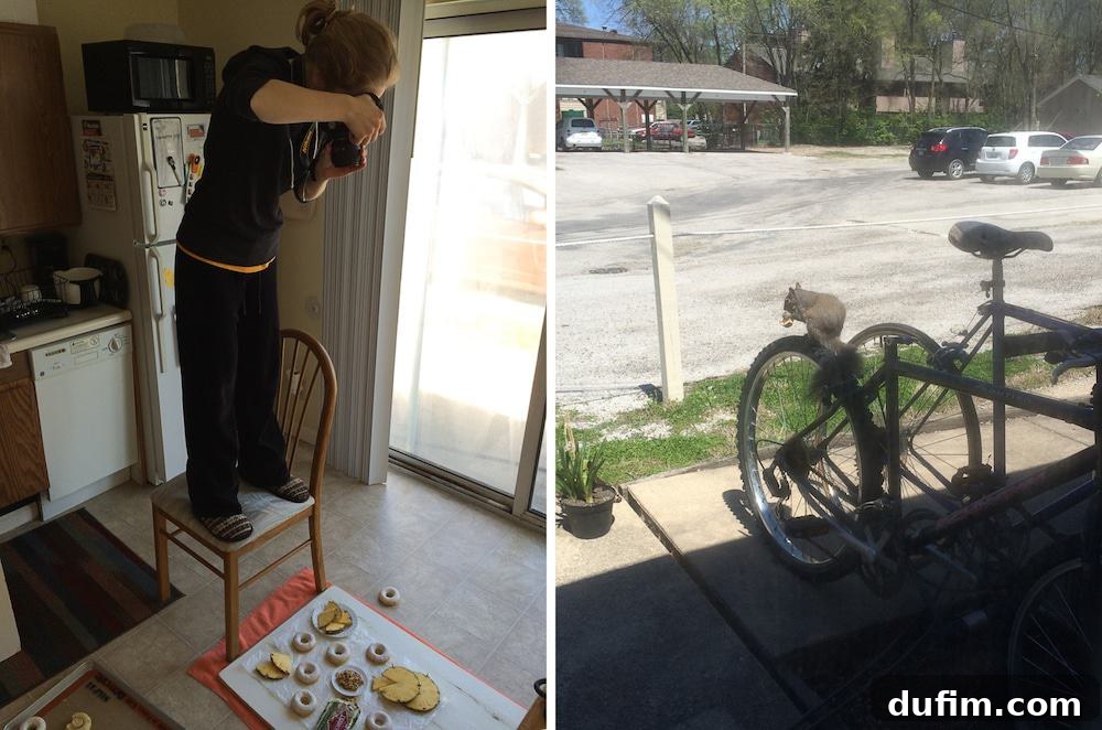 A unique perspective of an aerial food photography setup for Pineapple Walnut Donuts, next to a charming squirrel eating an apple on a bike tire