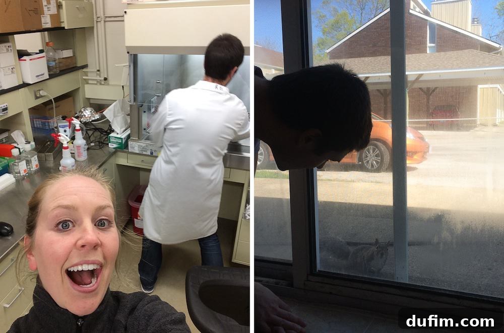 Ryan in his lab coat for his chemistry Ph.D. studies, and a curious squirrel peering into the window for more peanuts