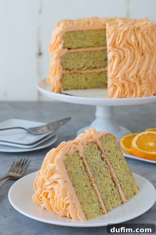 Sun-Kissed Orange Poppyseed Dream 3 Orange Poppyseed Cake - three layer orange poppyseed cake with a fresh orange buttercream!