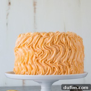 Orange Poppyseed Cake - three layer orange poppyseed cake with a fresh orange buttercream!