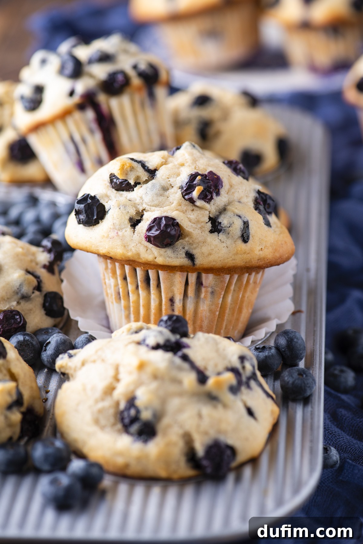 Wholesome Blueberry Muffins 2 Freshly baked healthy blueberry muffins sit on a striped baking tray, surrounded by scattered blueberries. The muffins are golden brown with blueberries visible on top and throughout, and a dark blue cloth is in the background.