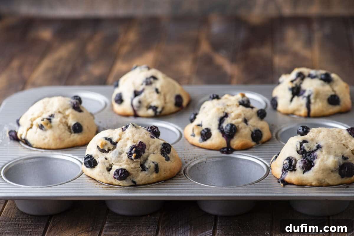 Wholesome Blueberry Muffins 14 A muffin tin filled with six freshly baked blueberry muffins, sitting on a wooden surface. The muffins are golden brown with visible blueberries throughout.
