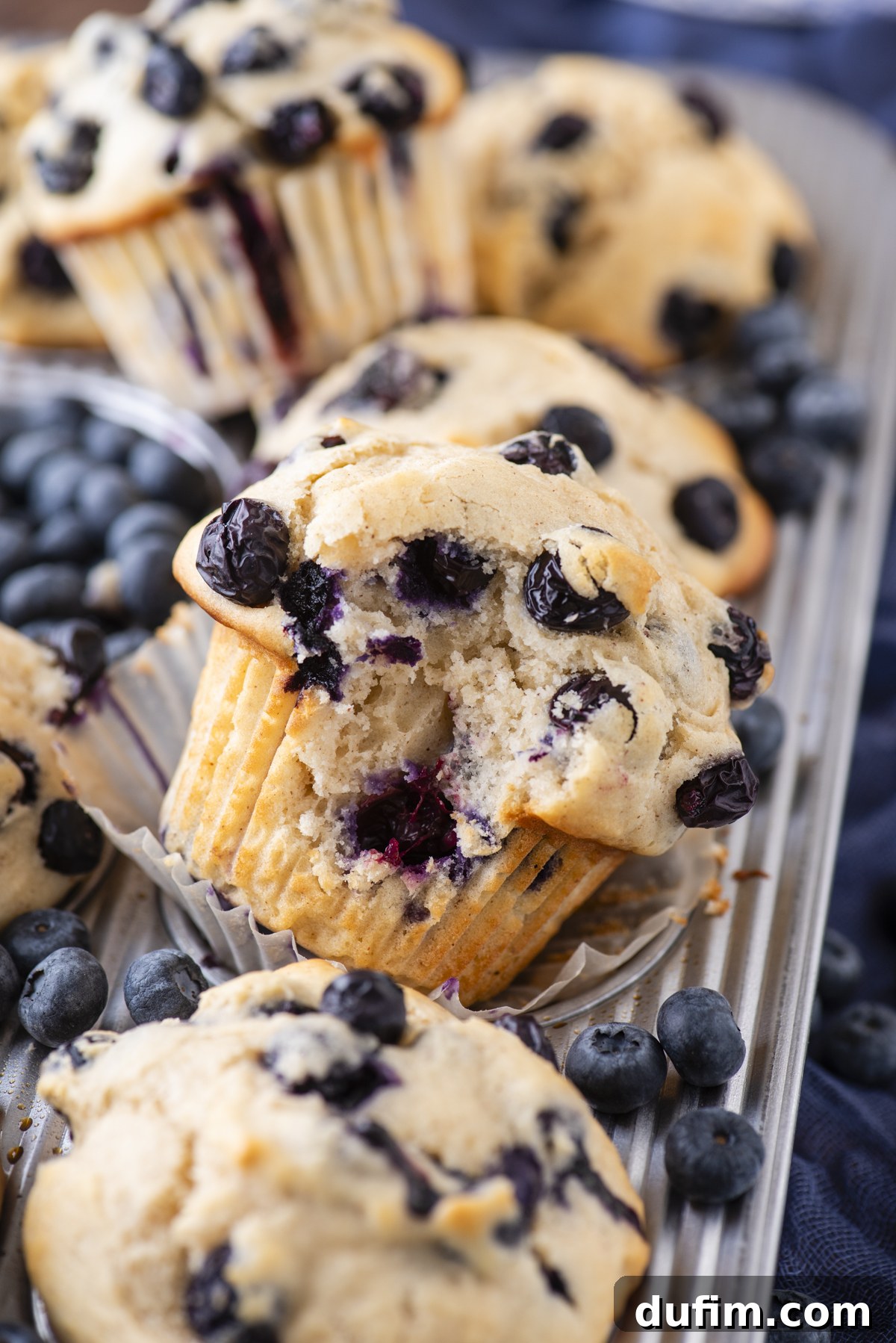 Wholesome Blueberry Muffins 16 Close-up of freshly baked healthy blueberry muffins in a metal tray, surrounded by loose blueberries. One muffin has a bite taken out, revealing its moist, fluffy interior with juicy blueberries inside.