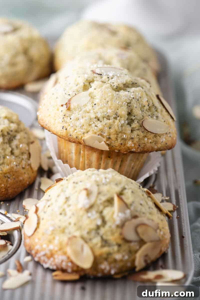 Irresistible Almond Poppy Seed Muffins 15 A freshly baked batch of almond poppy seed muffins, featuring glistening golden-brown domed tops adorned with sliced almonds and coarse sugar crystals, arranged perfectly within a metal muffin tray, ready to be enjoyed.
