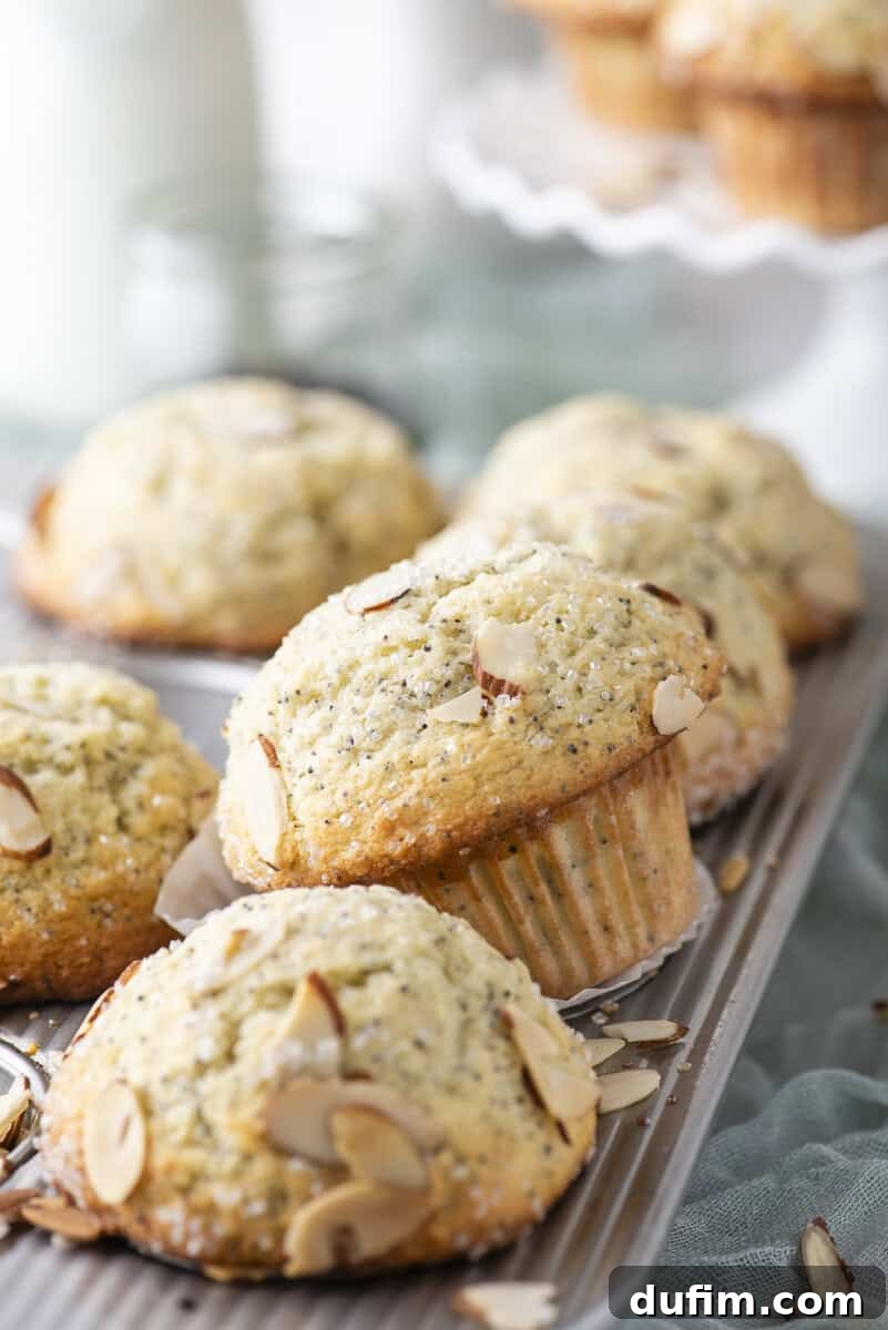 Irresistible Almond Poppy Seed Muffins 16 A collection of warm, freshly baked almond poppy seed muffins cooling gracefully on a metal wire rack, featuring their golden-brown domed tops studded with sliced almonds and sparkling coarse sugar. More blurred muffins and a glass jar are visible in the background.