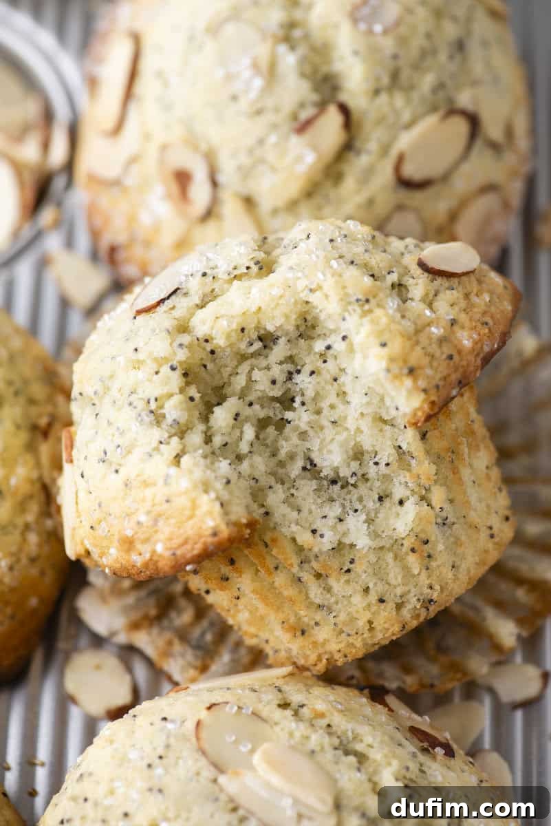 Irresistible Almond Poppy Seed Muffins 3 A close-up view of freshly baked almond poppy seed muffins, topped with delicate sliced almonds. One muffin is broken in half, showcasing its incredibly soft, moist, and tender texture. The muffins are arranged on a rustic metal tray with scattered almond slices.
