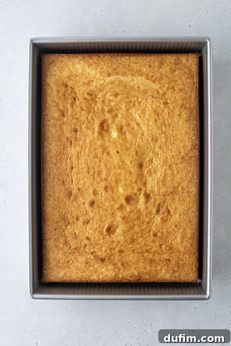 A freshly baked golden brown square cake in a metal baking pan, viewed from above on a light gray surface.