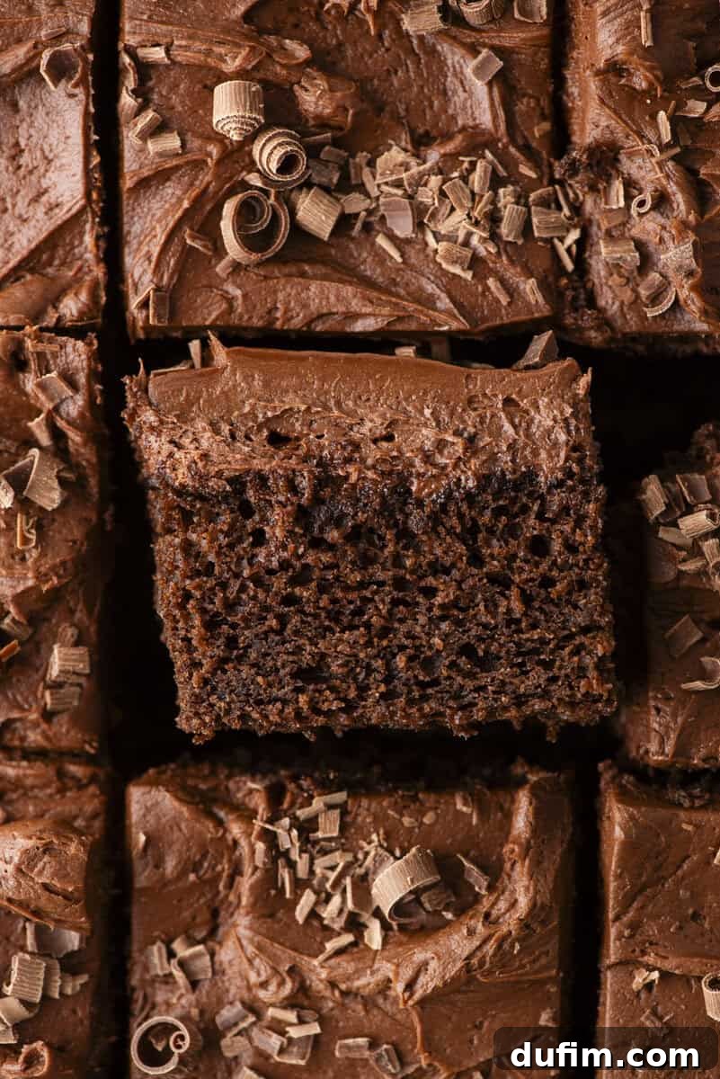 Decadent Homemade 9x13 Chocolate Cake 3 An overhead view of a 9x13 chocolate cake cut into squares, showing the moist crumb and rich chocolate frosting topped with delicate chocolate shavings.