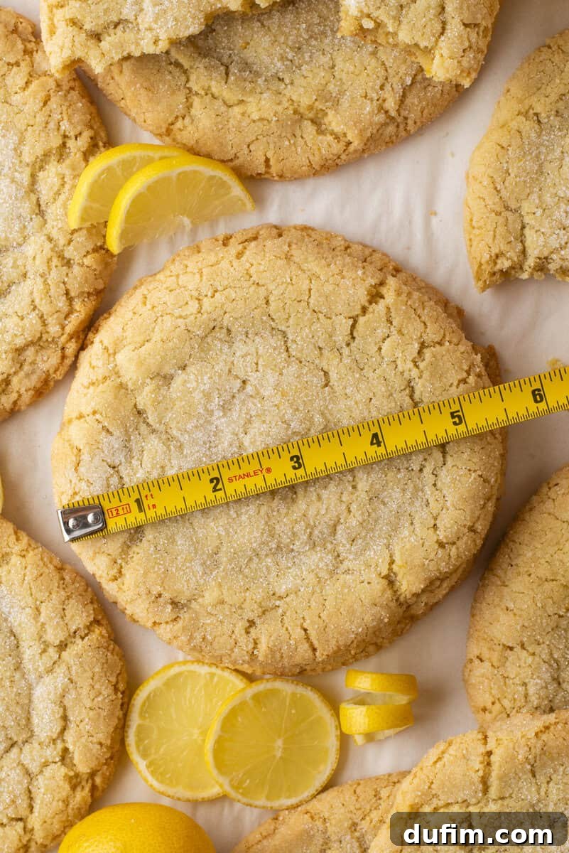 A large lemon cookie sprinkled with sugar is measured with a yellow tape measure. The cookie is surrounded by sliced lemons and other similar cookies on a parchment-lined surface.