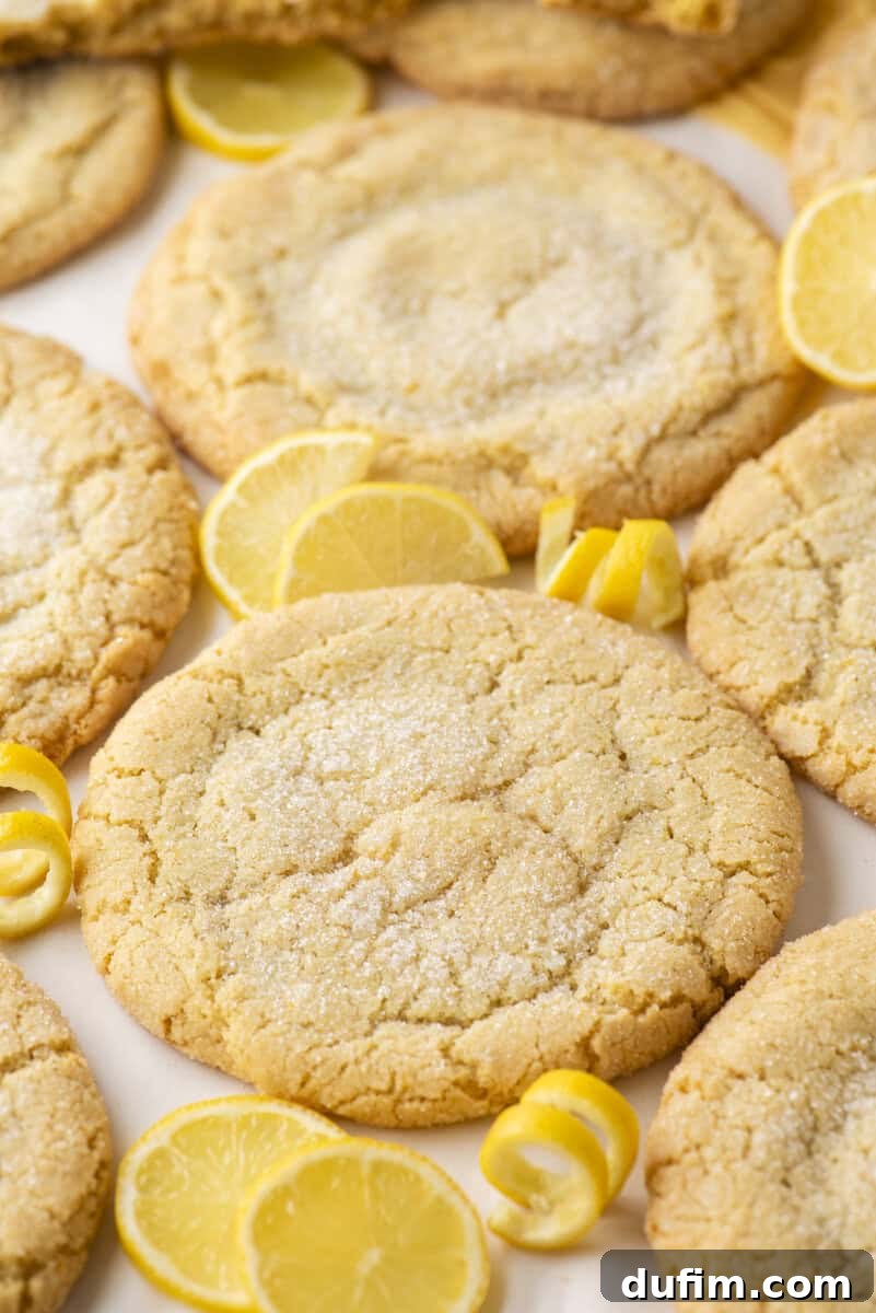 Large, round lemon sugar cookies are arranged on a surface with a light dusting of sugar on top. Lemon slices and lemon twists are scattered around.