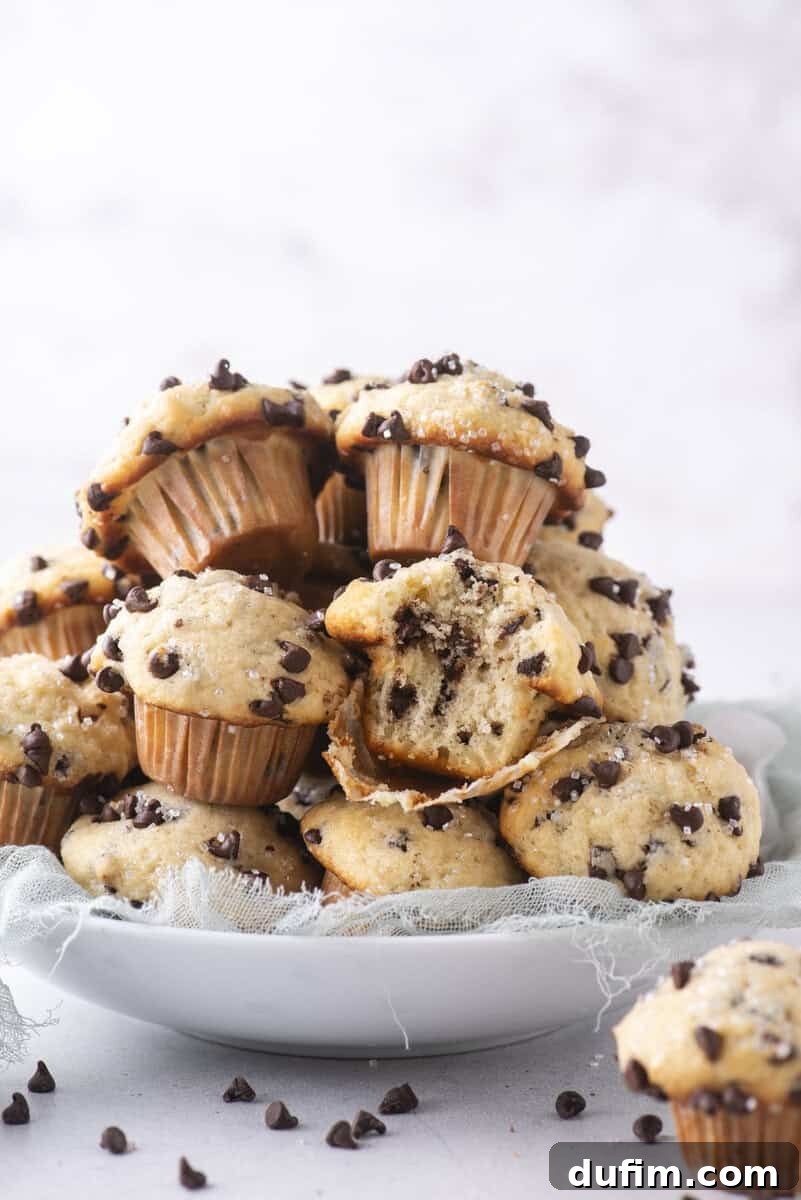 A white plate piled high with mini chocolate chip muffins, some with bites taken out, showing the soft, chocolate-filled inside. A light blue cloth is under the plate, and chocolate chips are scattered around.