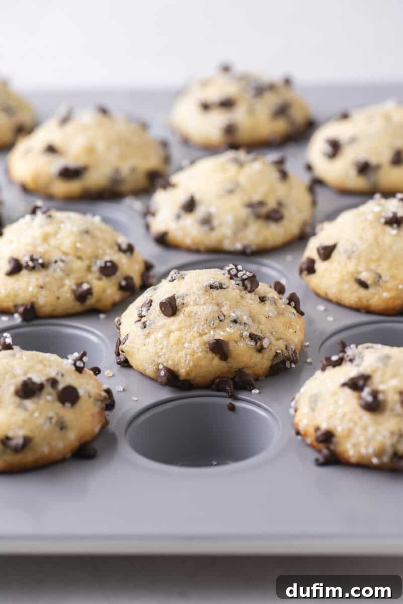 A close-up of freshly baked chocolate chip muffins in a gray muffin tin, with golden tops and sprinkled sugar, some chocolate chips scattered on the surface. One muffin slot is empty.