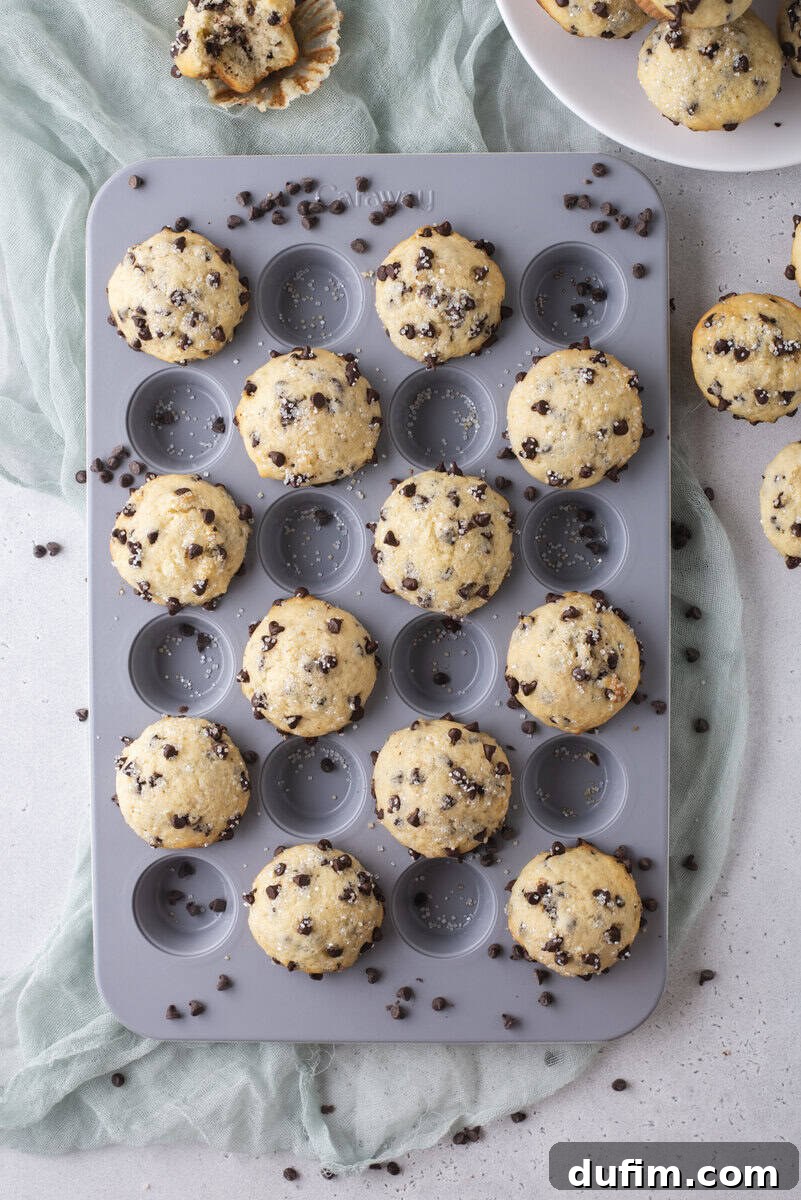 A muffin tin filled with baked mini chocolate chip muffins sits on a light blue cloth, with chocolate chips scattered around and more muffins on a white plate nearby.