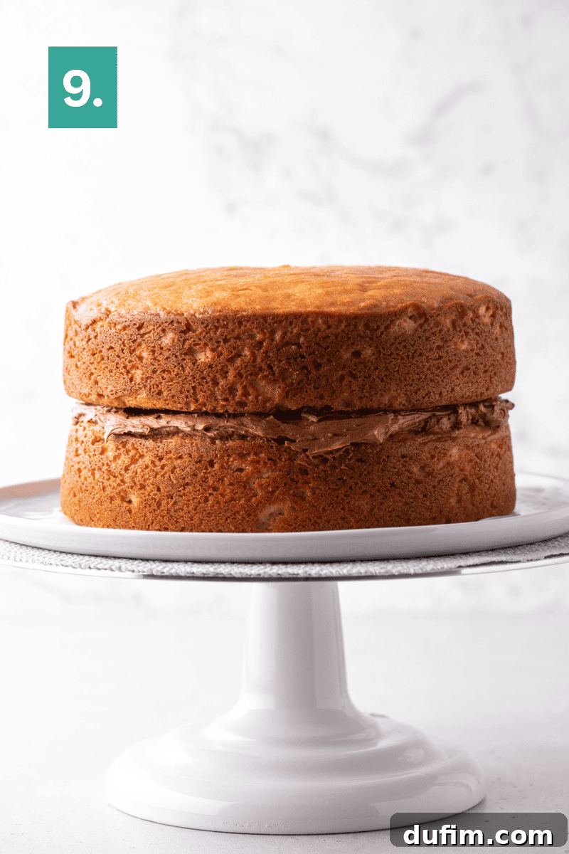 Peanut Butter Cake with Chocolate Frosting Recipe 13 A two-layer sponge cake with chocolate frosting in the middle sits on a white cake stand.
