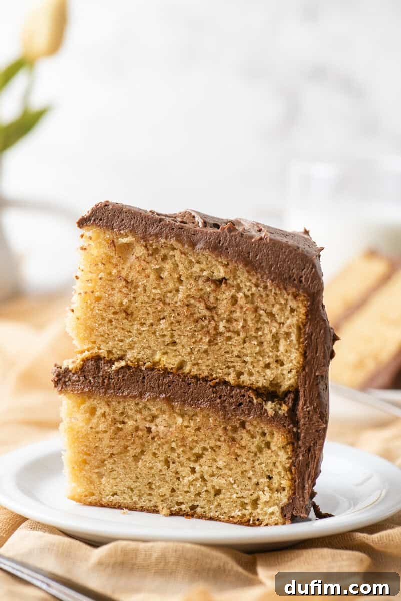 Peanut Butter Cake with Chocolate Frosting Recipe 15 A close-up of a slice of yellow cake with chocolate frosting, stacked in two layers, served on a white plate with a blurred background.