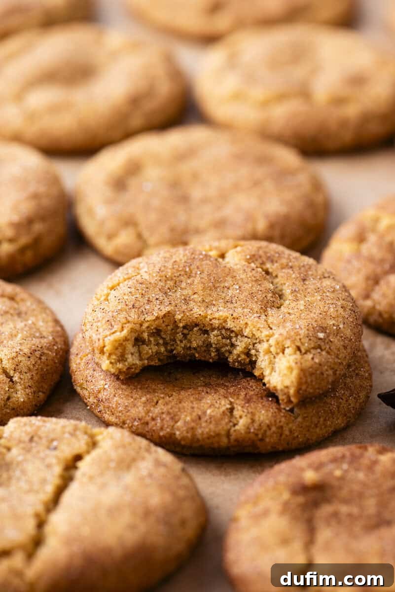 A close-up of several snickerdoodle cookies on parchment paper, with one cookie in the center showing a bite taken out of it.