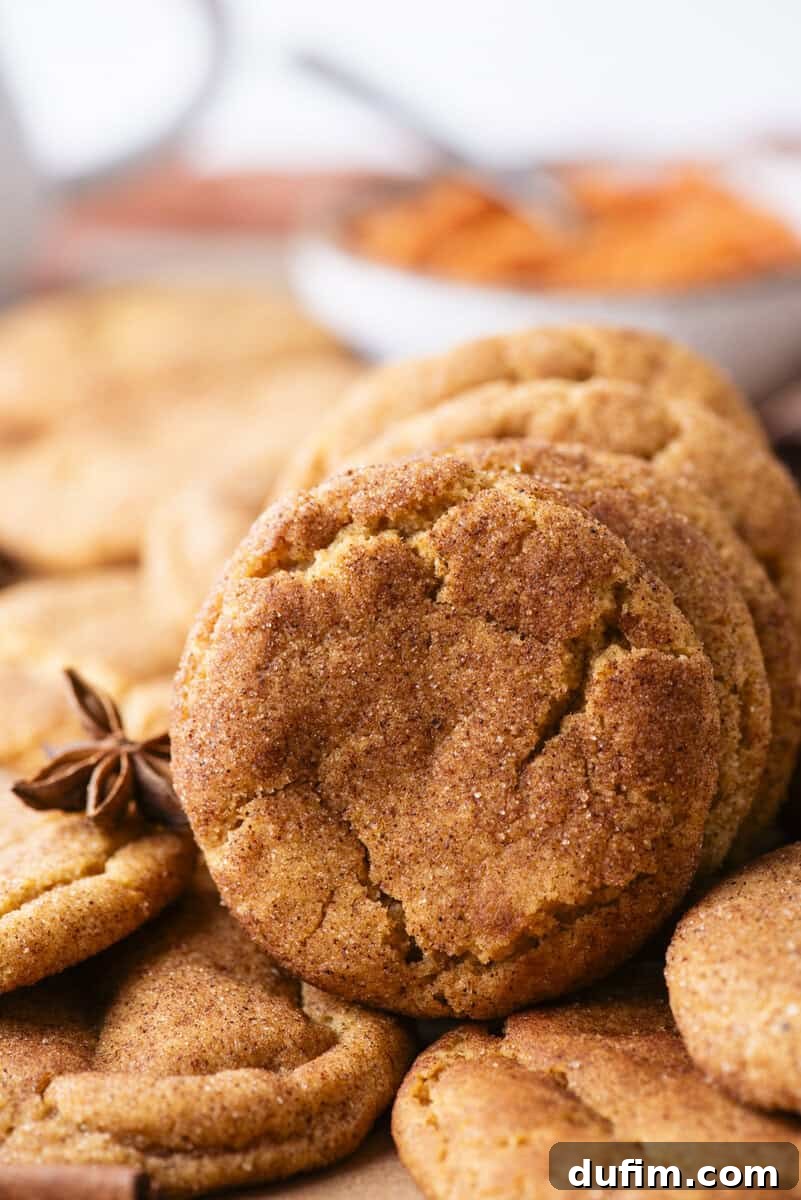 A close-up of several golden brown snickerdoodle cookies, with one cookie standing upright in front, and a blurry bowl of orange filling and a star anise in the background.