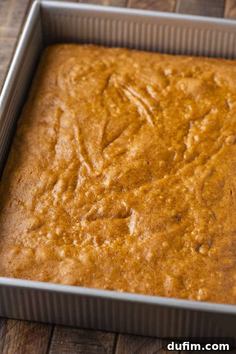 A square, golden-brown cake in a metal baking pan sits on a wooden surface. The cake has a slightly textured top with soft, even coloring and no frosting.